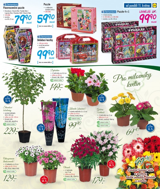 Lidl akn letk, strana 13