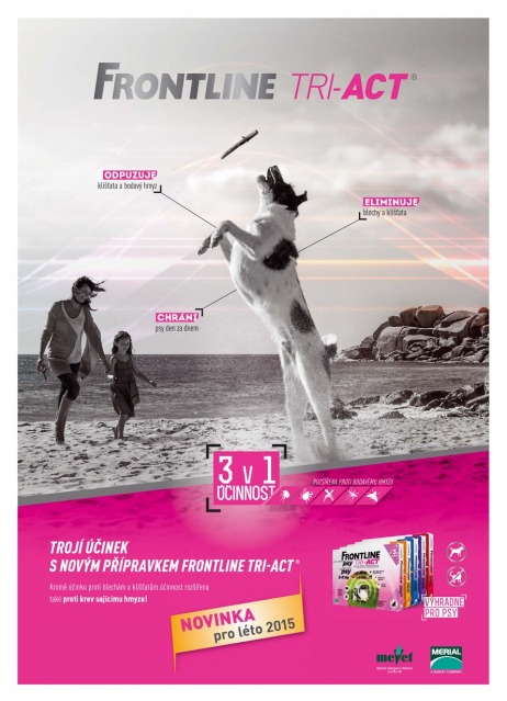 Pet Center letk, strana 8